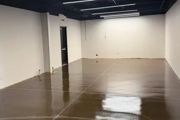 Empty room with white walls, a black ceiling with linear lights, and a polished concrete floor.